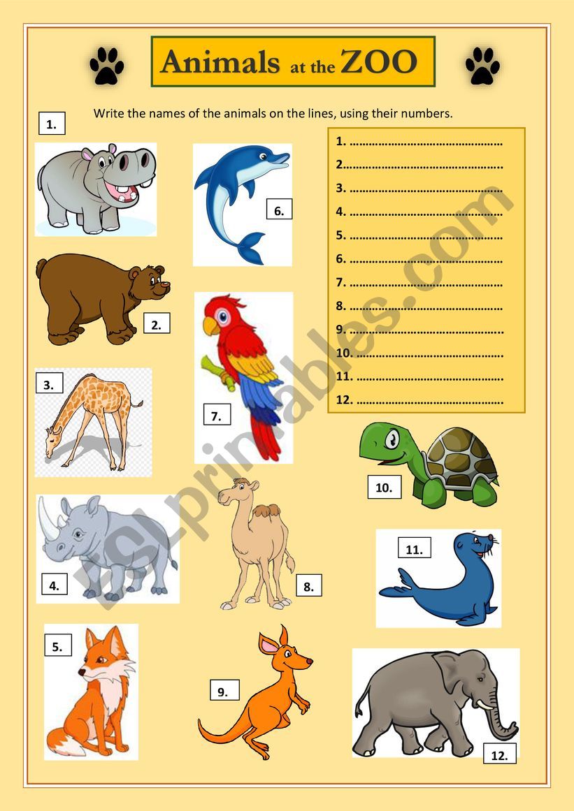 Animals at the Zoo worksheet