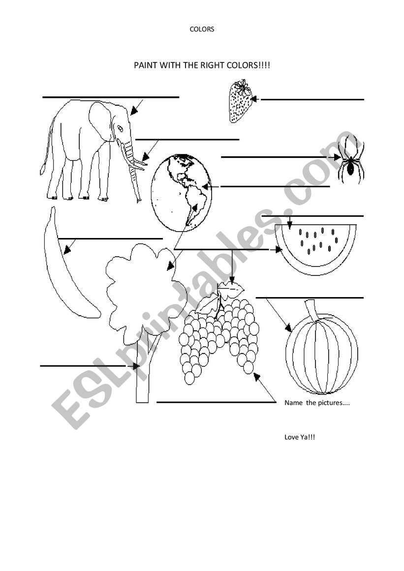 colors worksheet