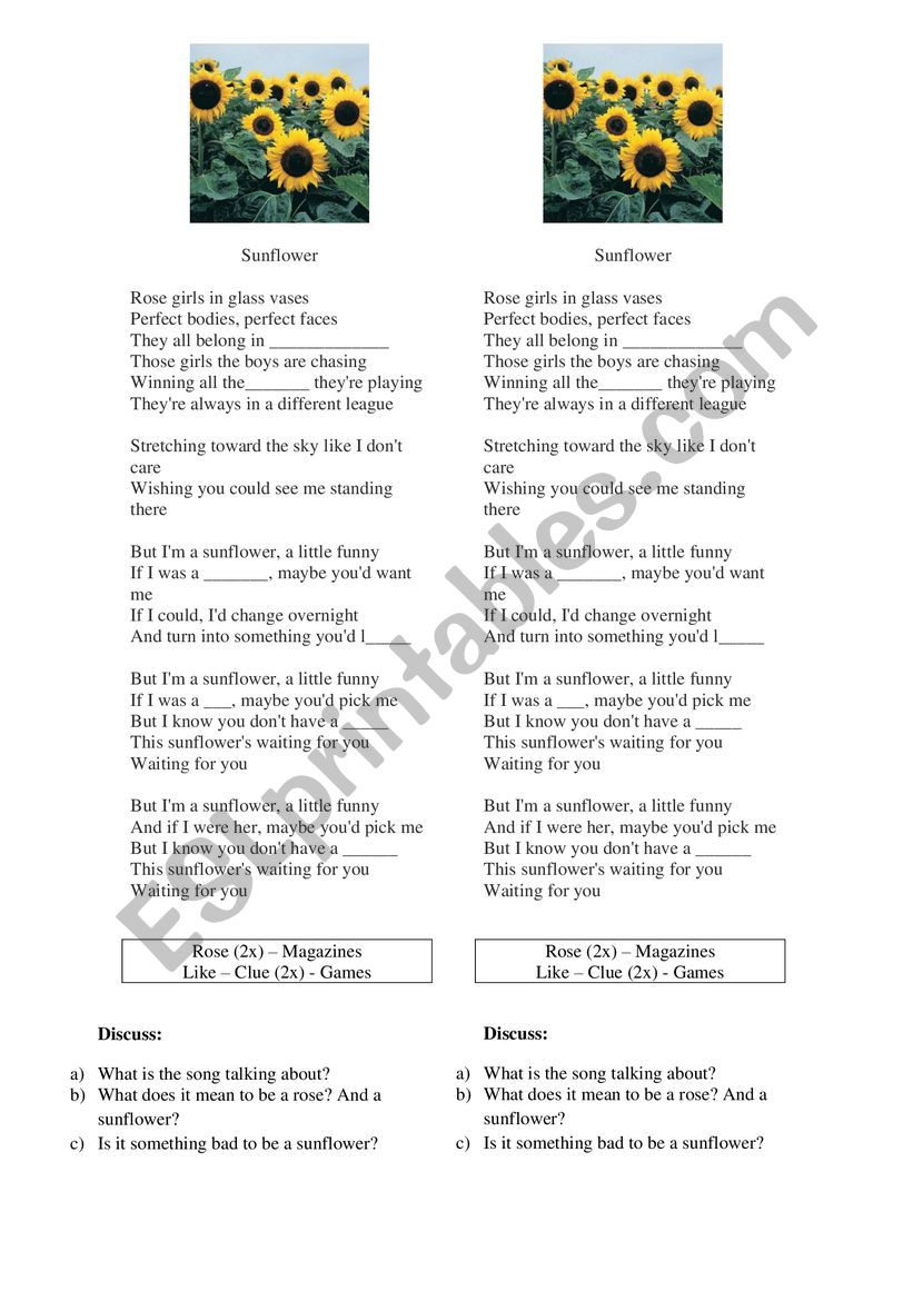 Song Sunflower worksheet