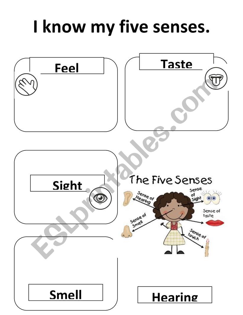 I know my five senses worksheet