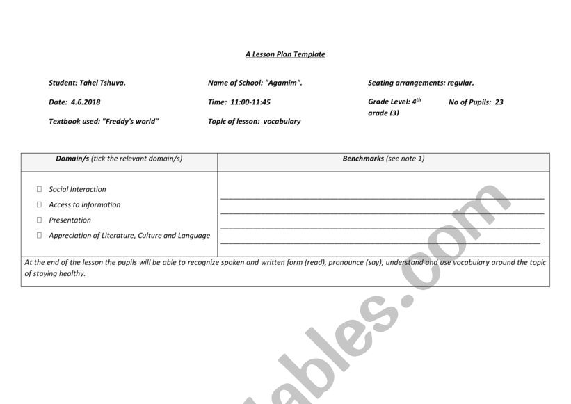 Mr KASHTAN STORE - VOCABULARY LESSON PLAN