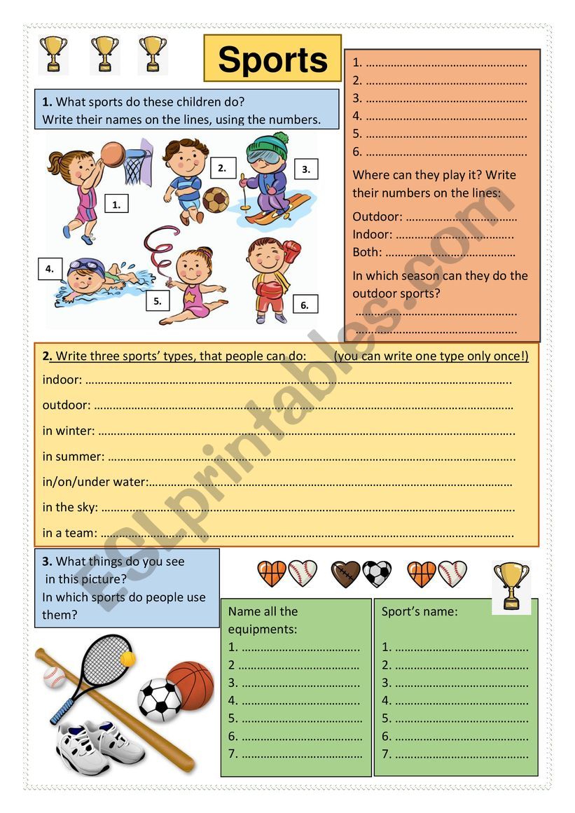 Sports worksheet