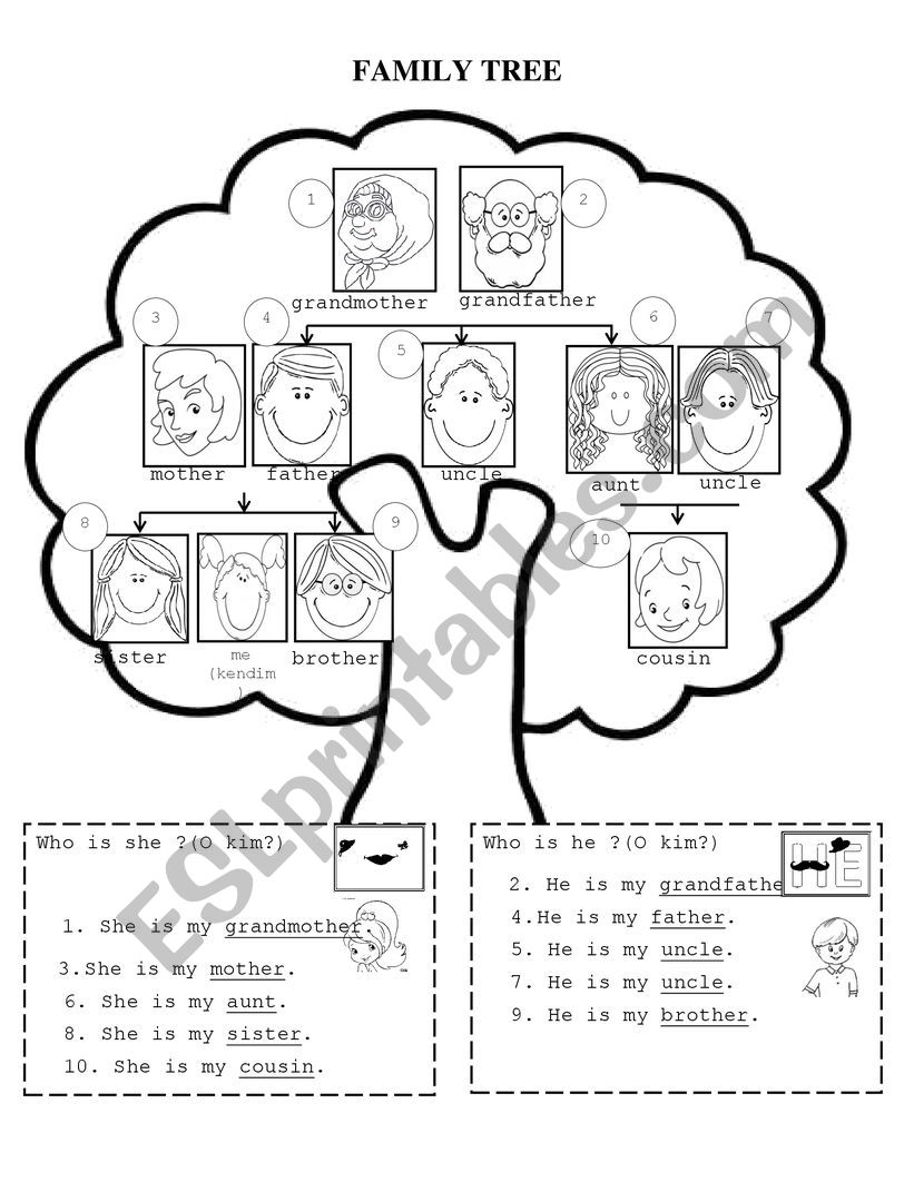 family-tree-esl-worksheet-by-rose01