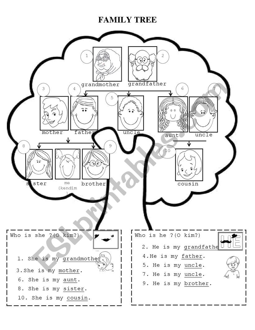 Family tree worksheet