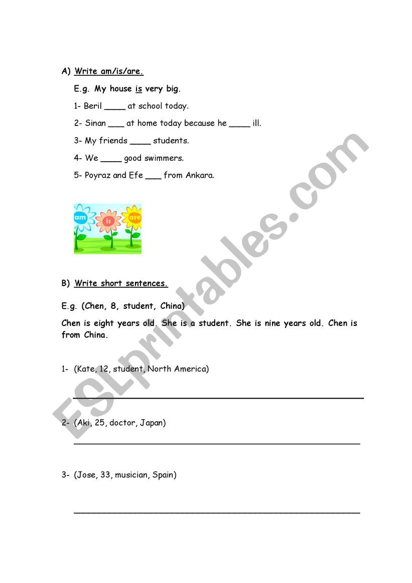 VERB TO BE AND COUNTRIES worksheet