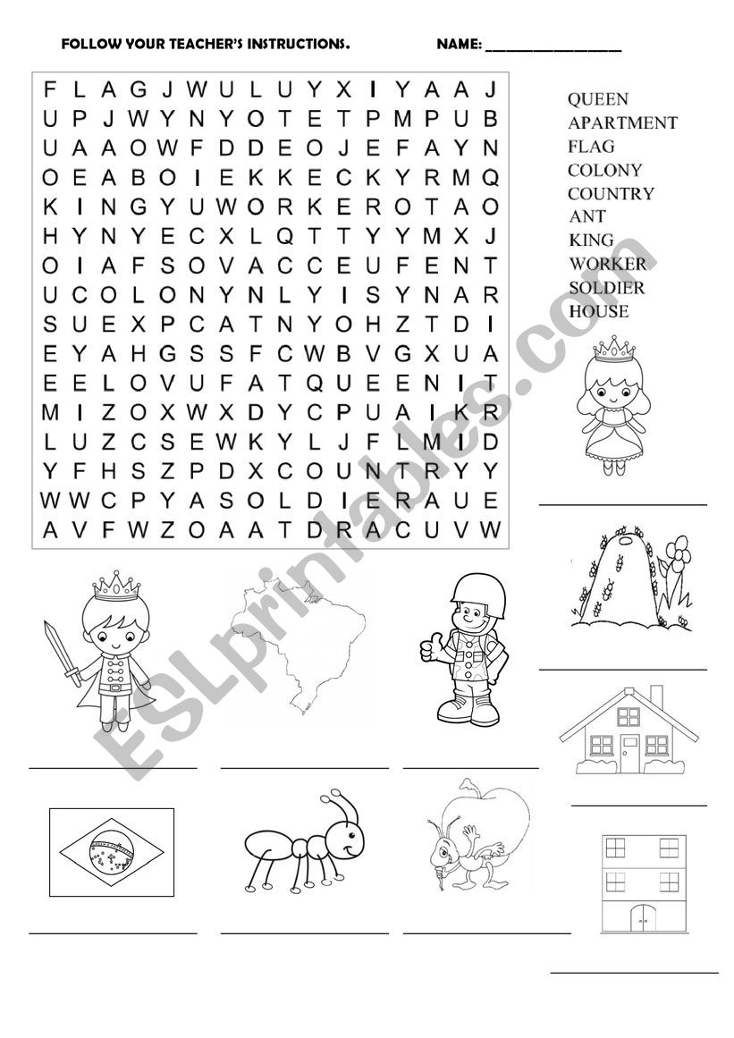 Word Hunt worksheet