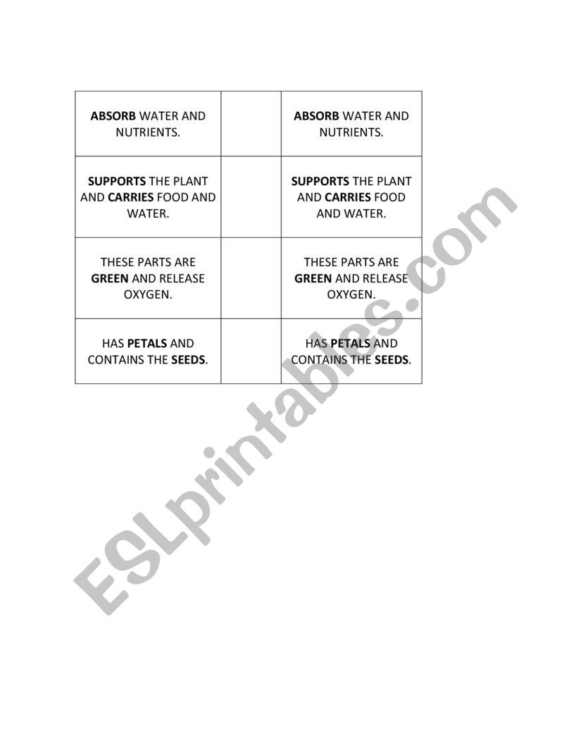 parts of a plant worksheet