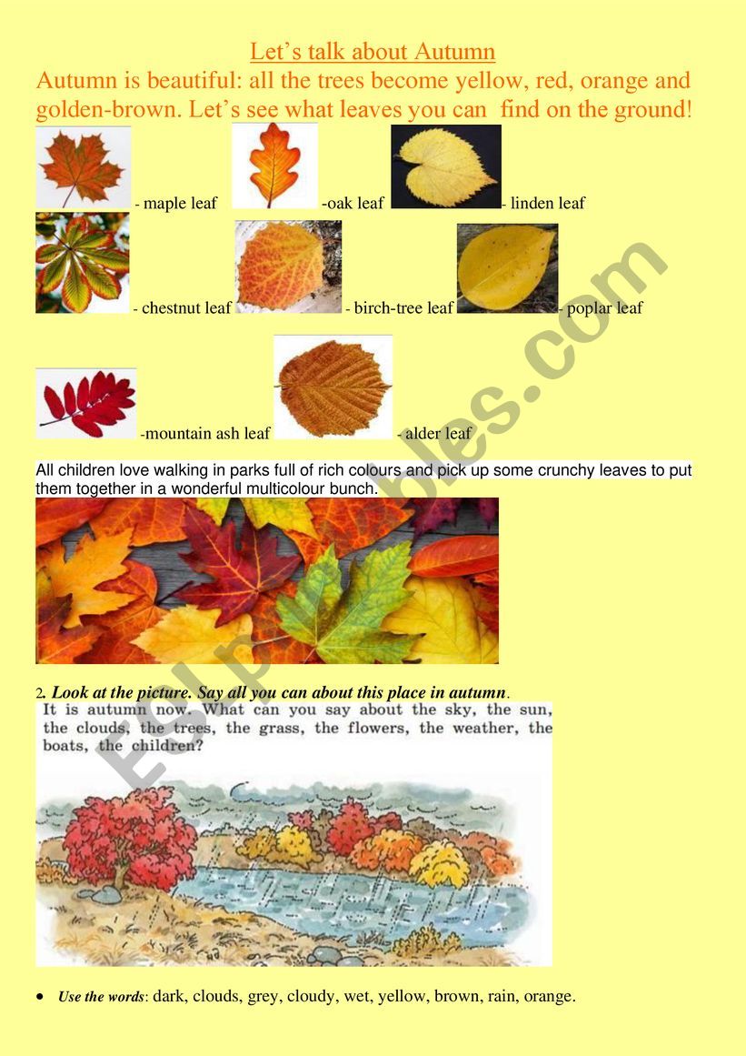 lets talk about autumn time  worksheet
