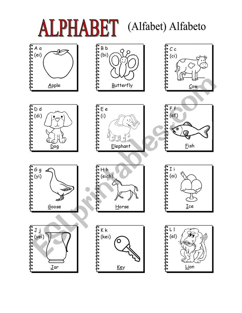 the alphabet worksheet