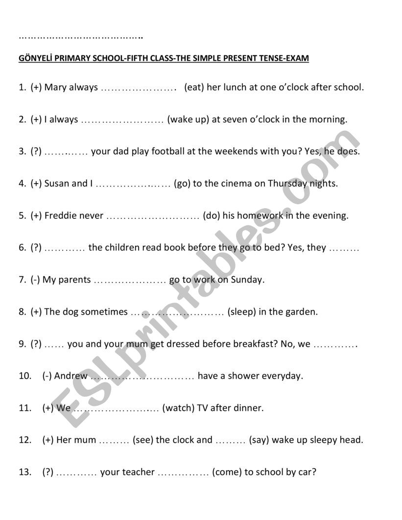 THE SIMPLE PRESENT TENSE worksheet