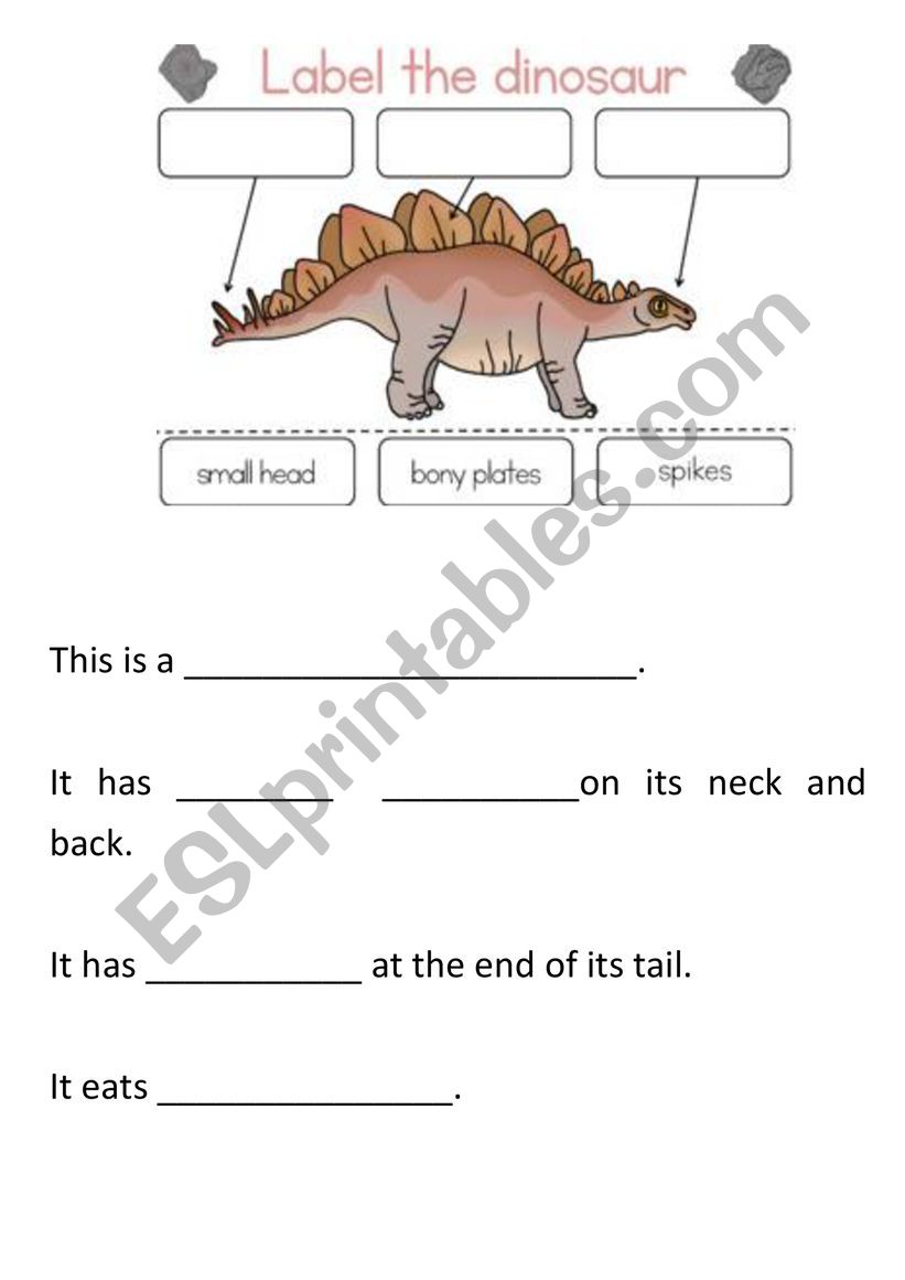 Label the Stegosaurus worksheet