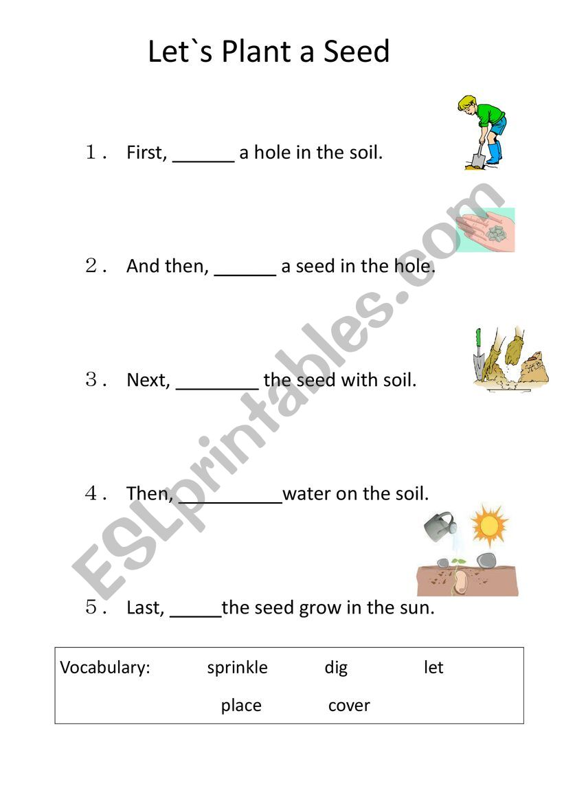 Spring Theme: Life Cycle worksheet