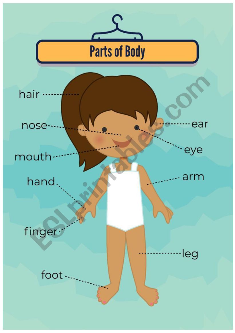 Parts of Body worksheet