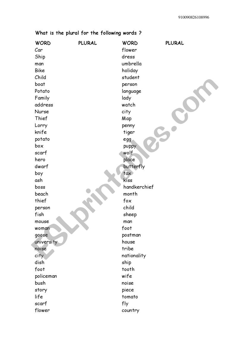 Plurals worksheet