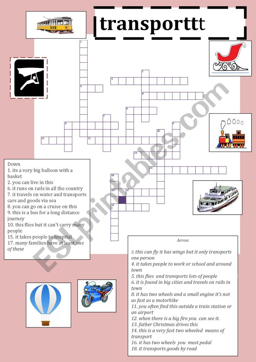  transport  worksheet