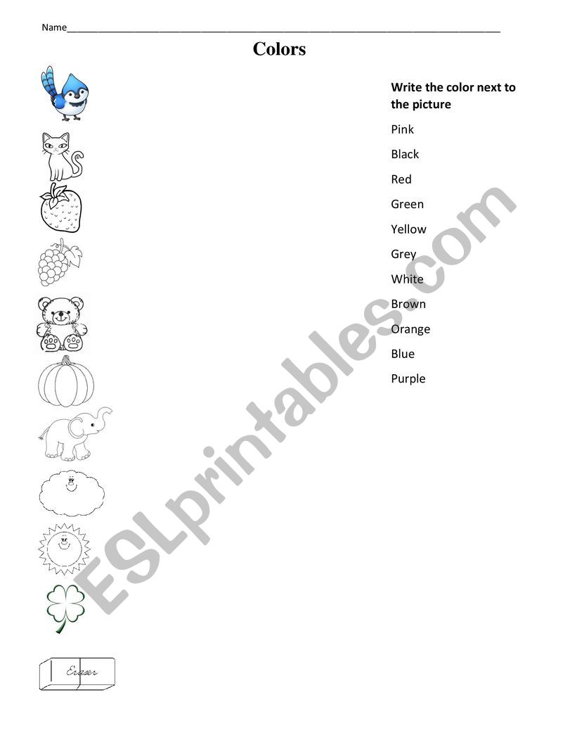 The colors worksheet