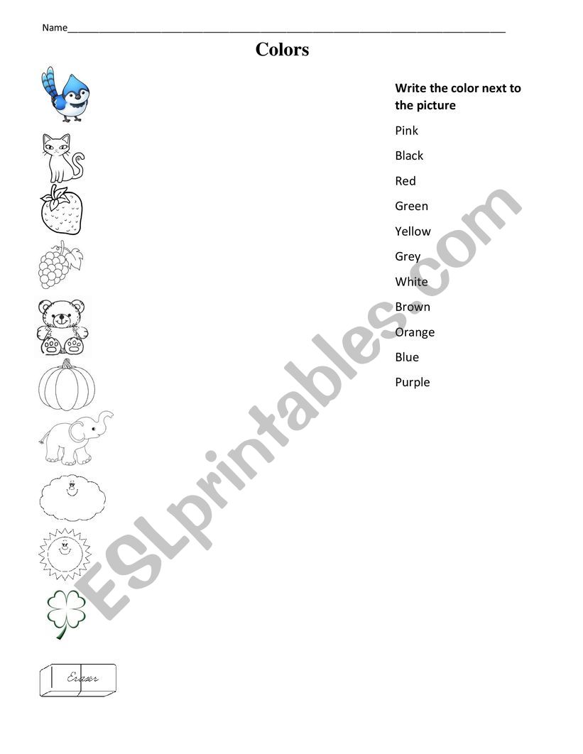 The colors worksheet