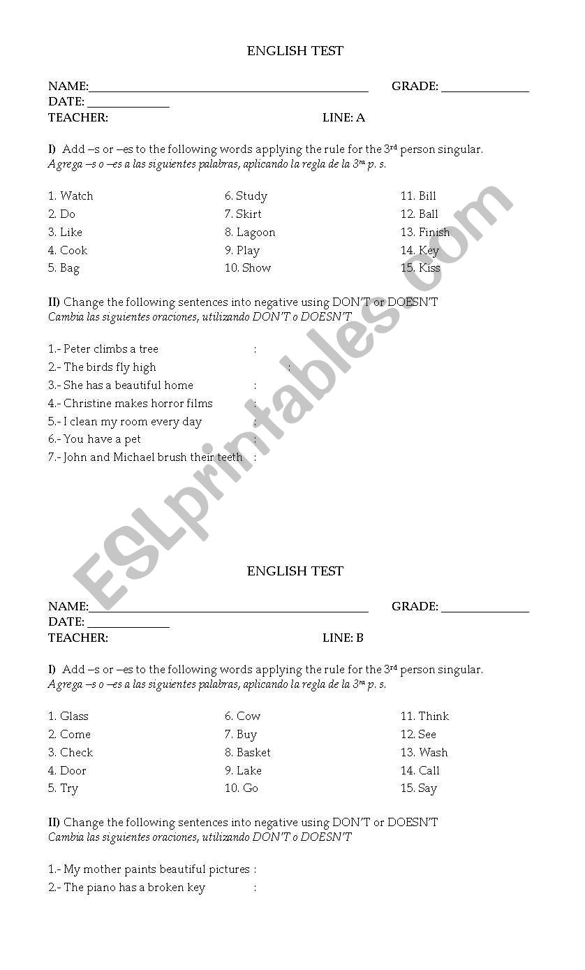 3rd person singular practice  worksheet