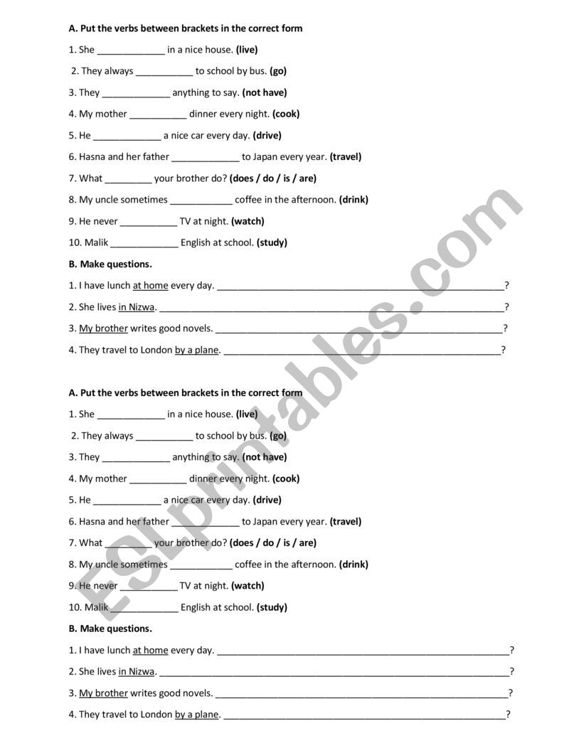 present simple  worksheet