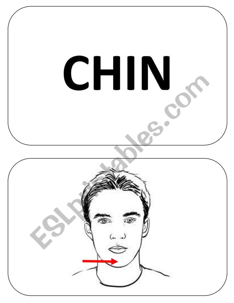 BODY PARTS 2 MEMORY GAME ADVANCED FLASHCARDS