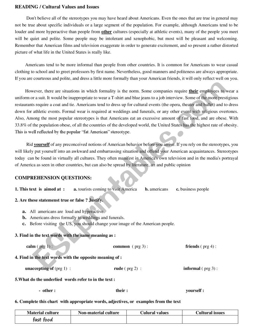 CULTURAL ISSUES AND VALUES worksheet