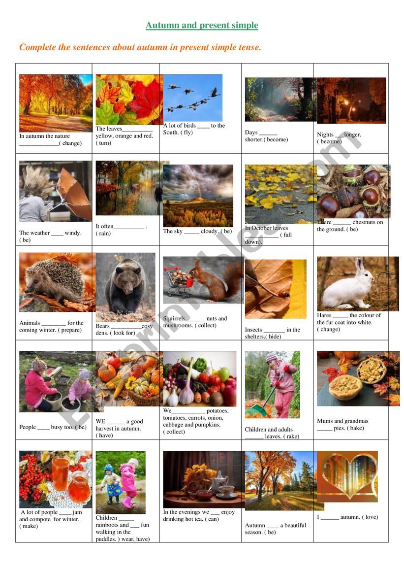 Autumn time worksheet