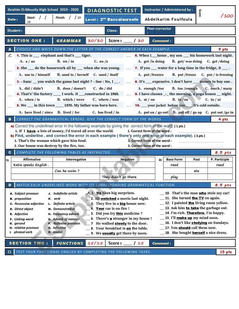 DIAGNOSTIC TEST worksheet