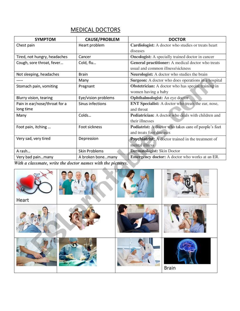 Medical Doctors  worksheet