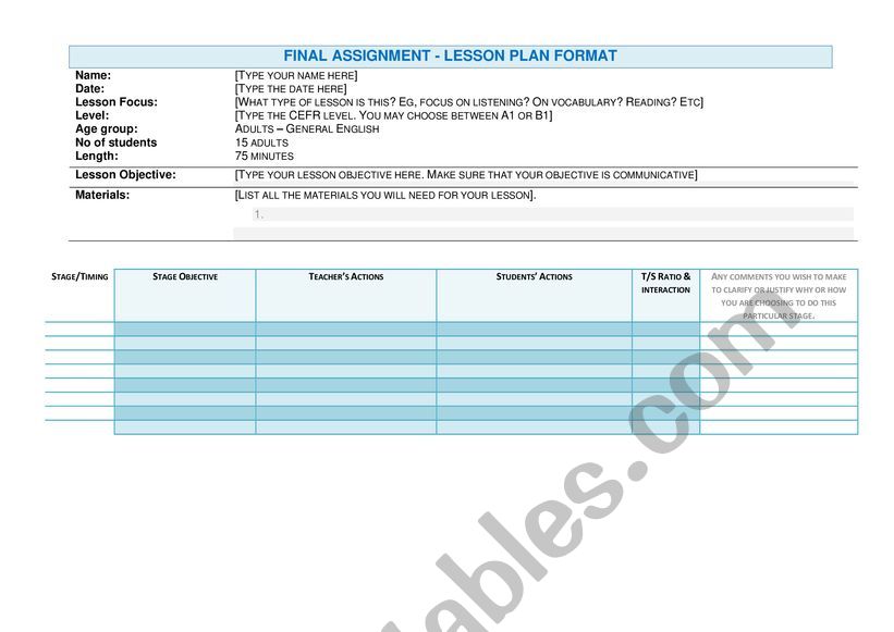 lesson plan  worksheet