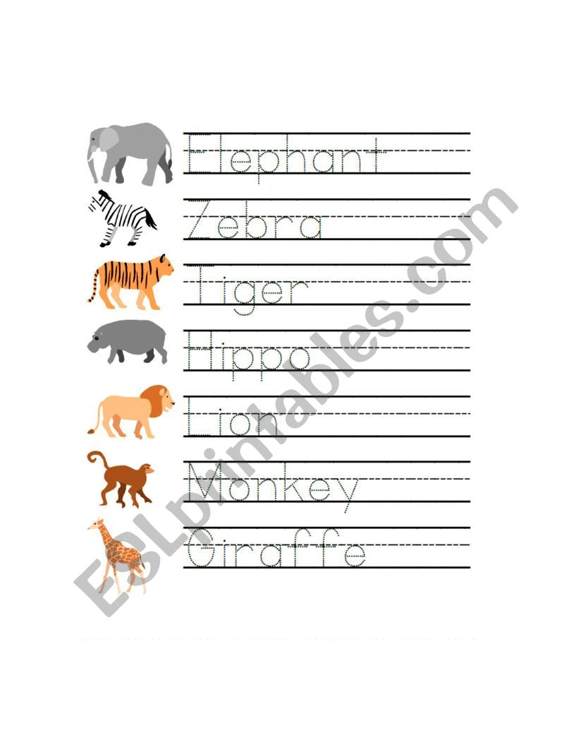 letÂ´s go to the safari worksheet