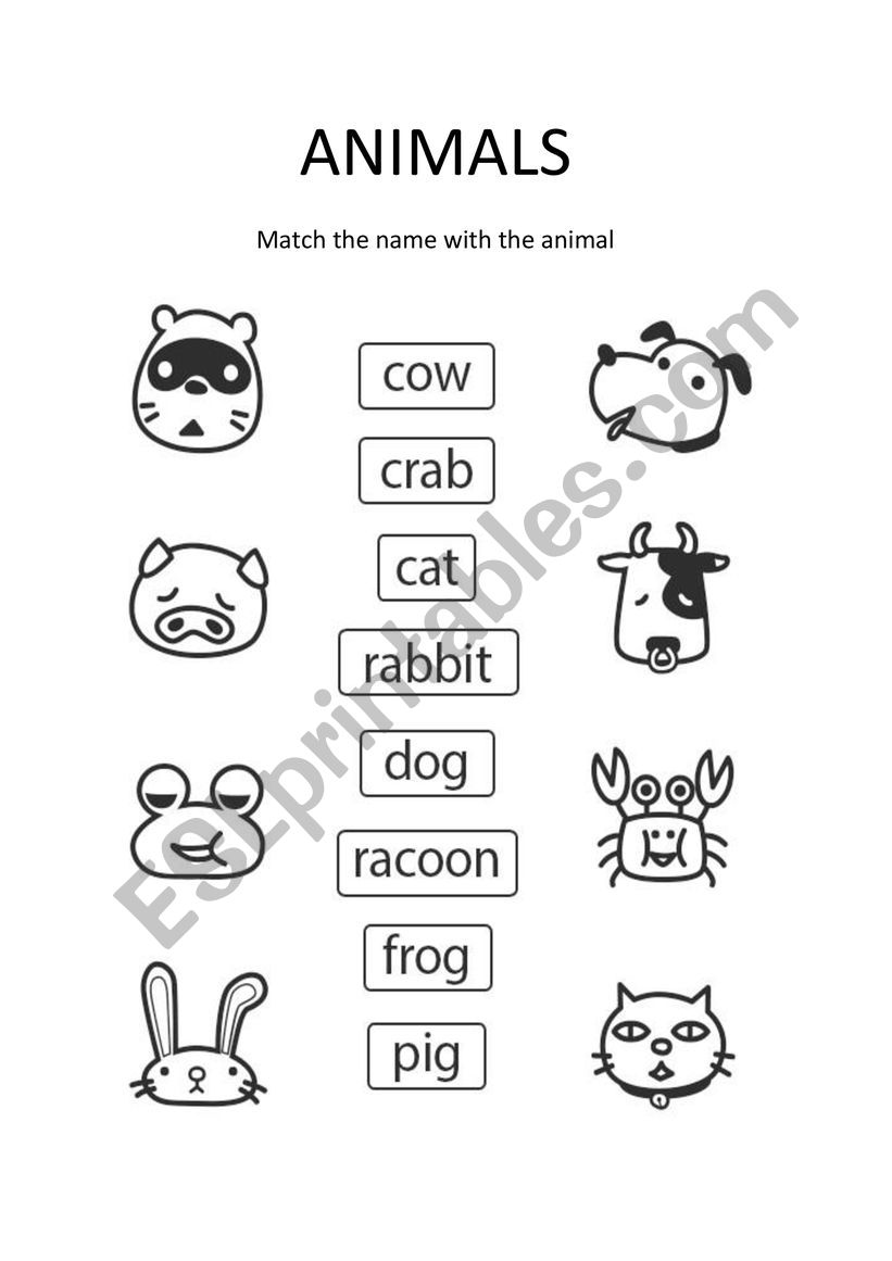 Match Animals worksheet