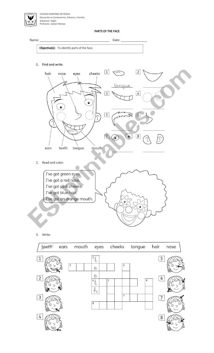 My Face worksheet