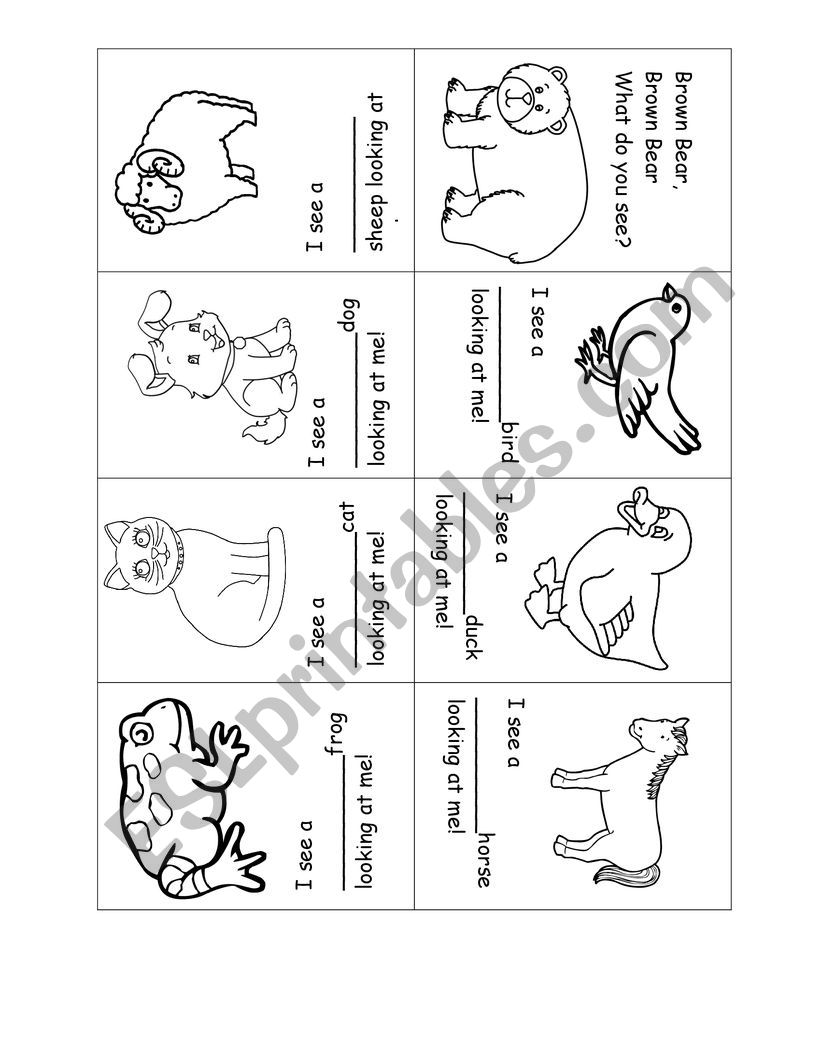 Brown Bear Book worksheet