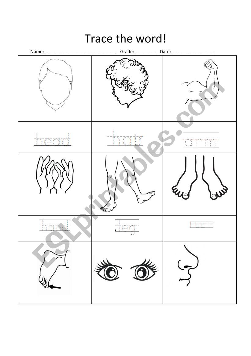 Parts of the bodyyy worksheet