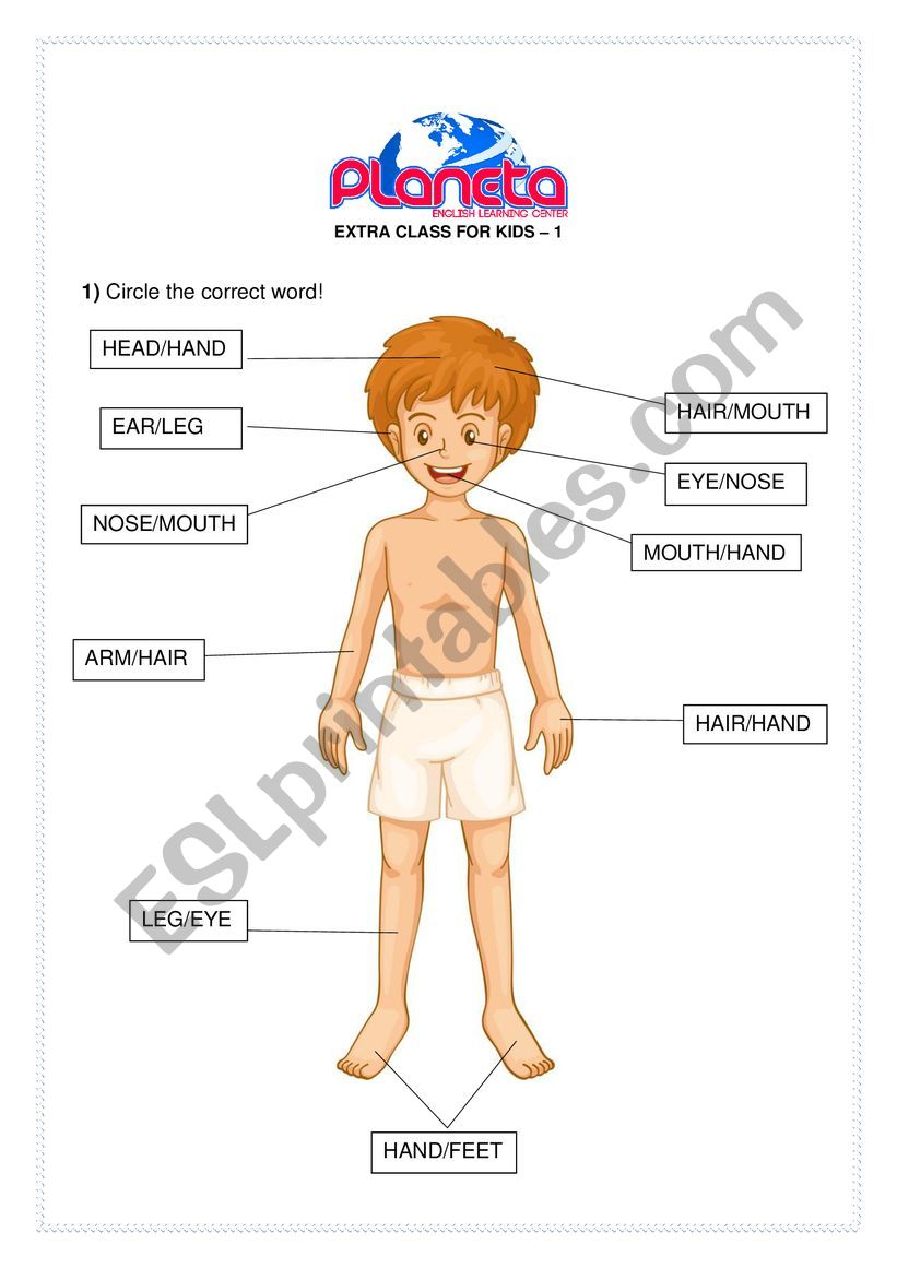 Body Parts - Vocabulary for Kids