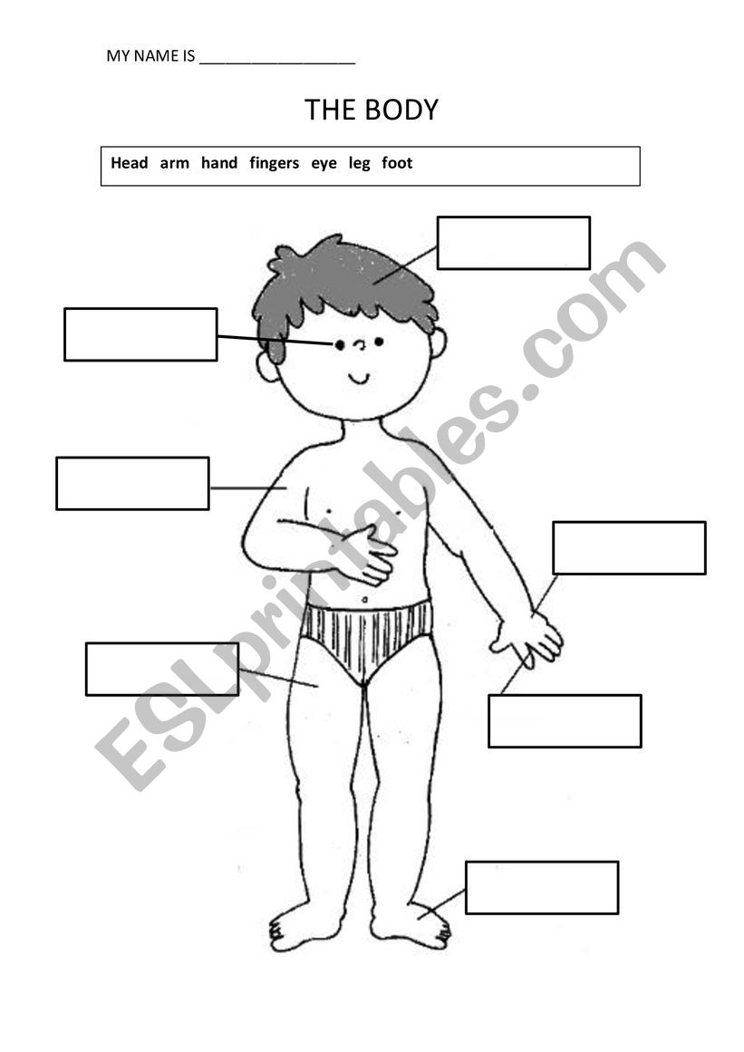 body parts for teens worksheet