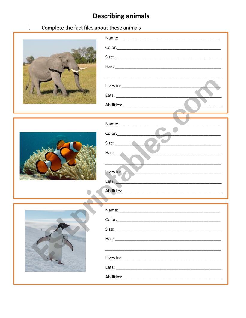Describing animals  worksheet