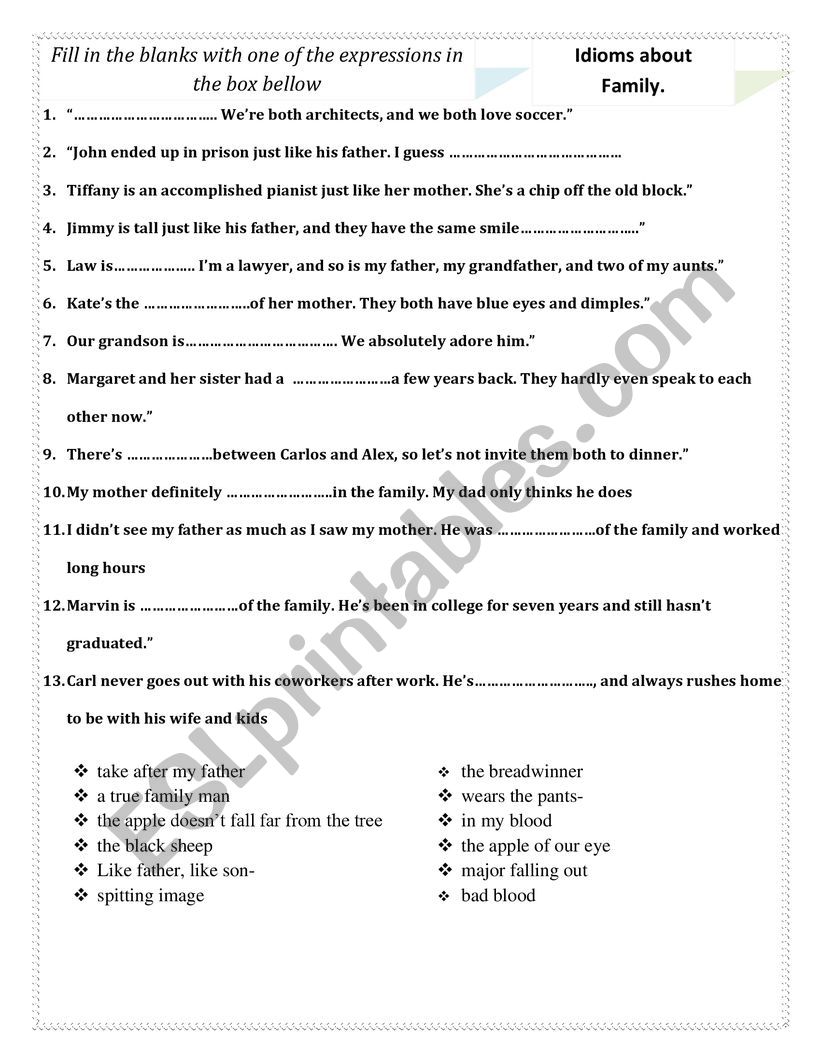 idioms about family worksheet