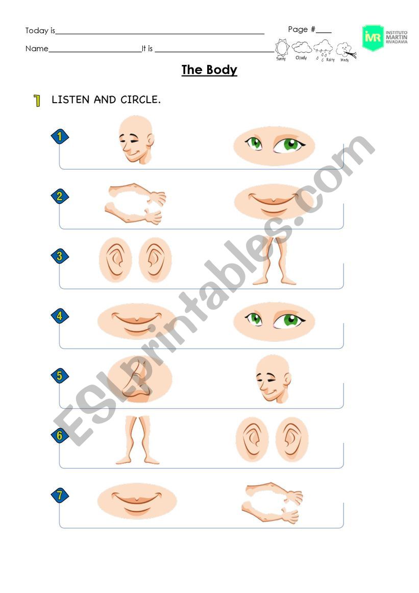 Body worksheet