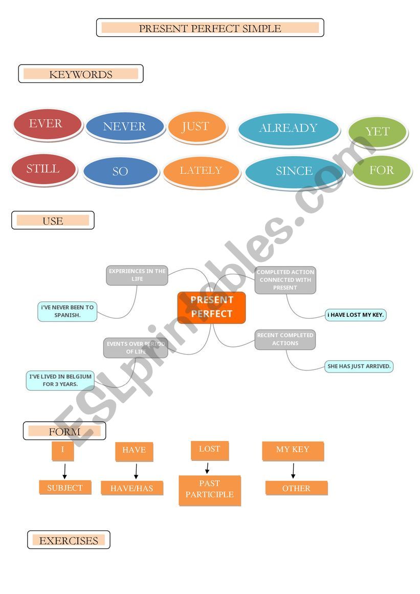 Present perfect  worksheet