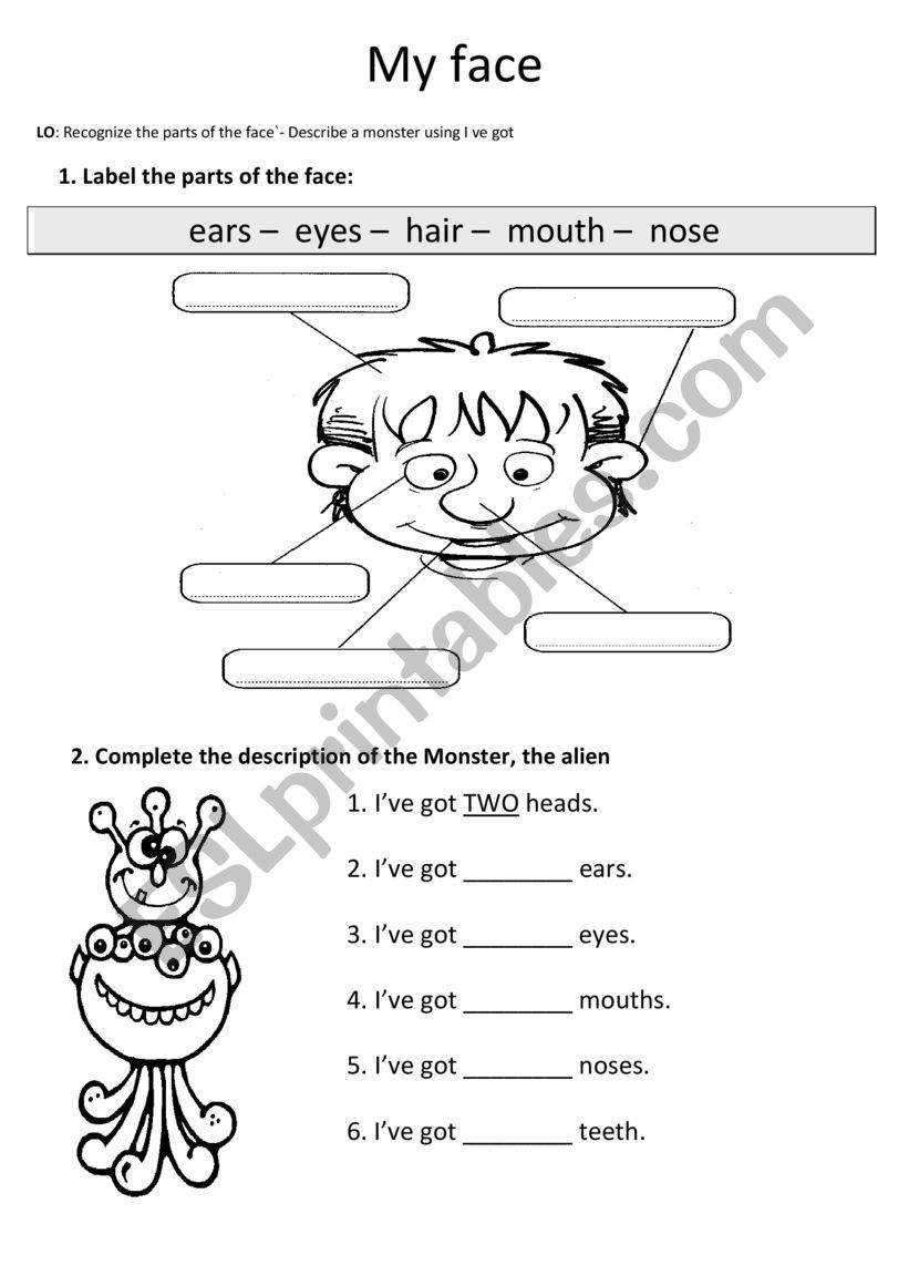 Face worksheet