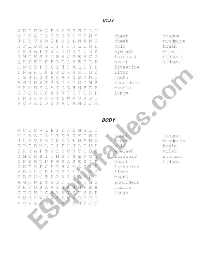 body worksheet