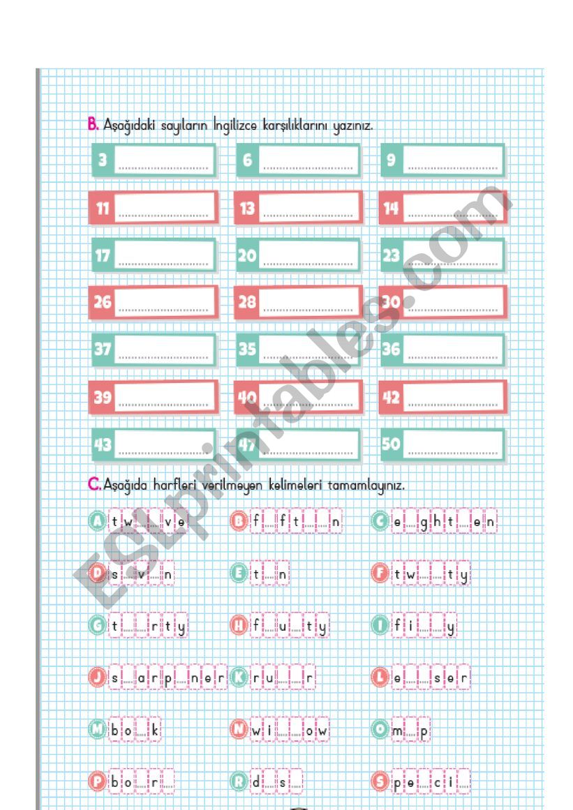 teacher worksheet