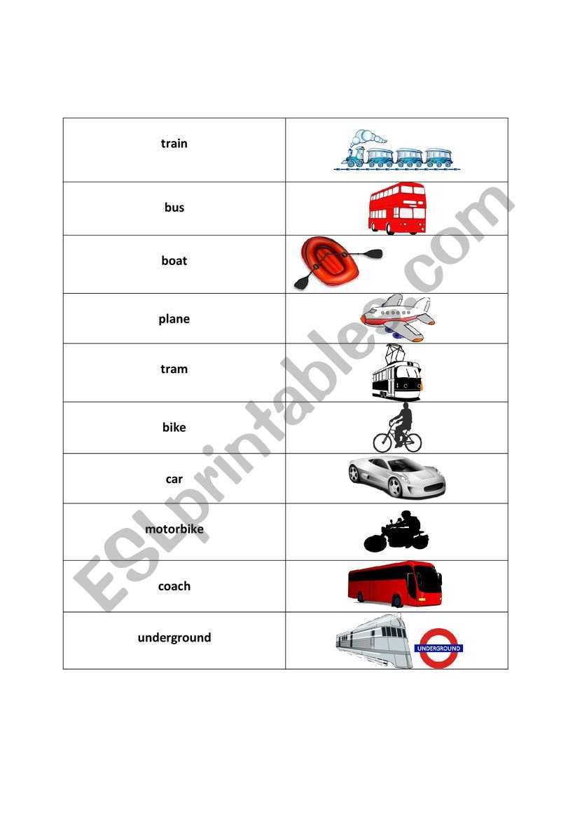 Means of transport worksheet