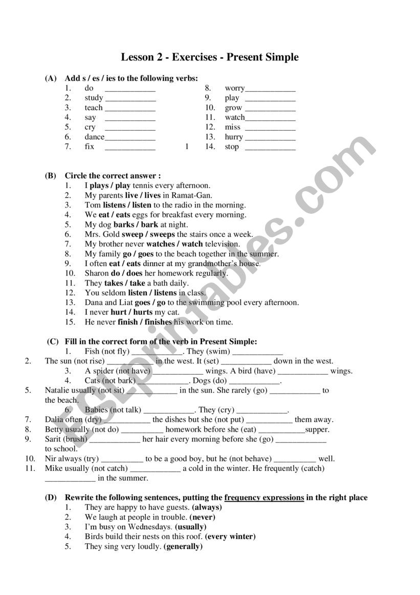 present simple worksheet