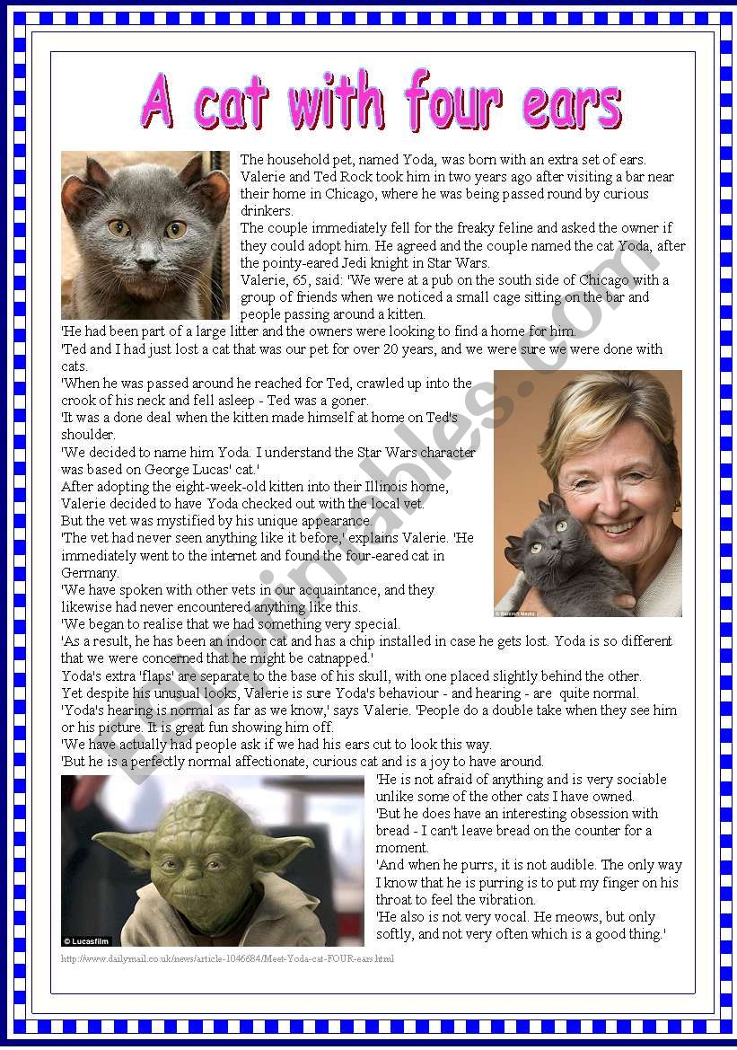 A ñat with 4 ears worksheet