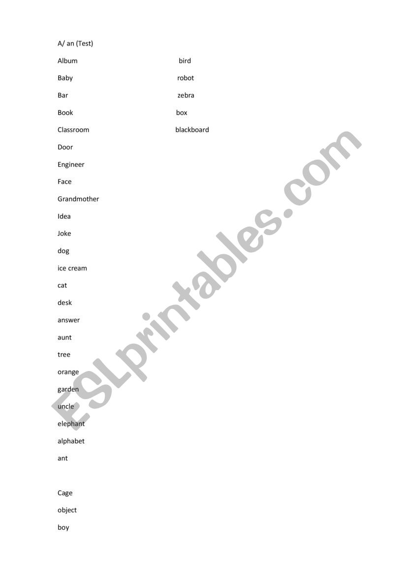 Test a/an worksheet
