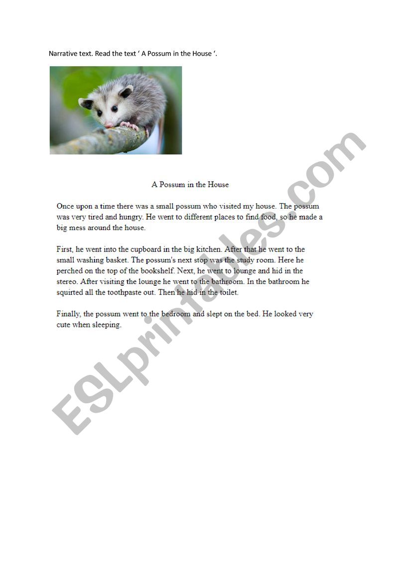 Reading comprehension Possum worksheet