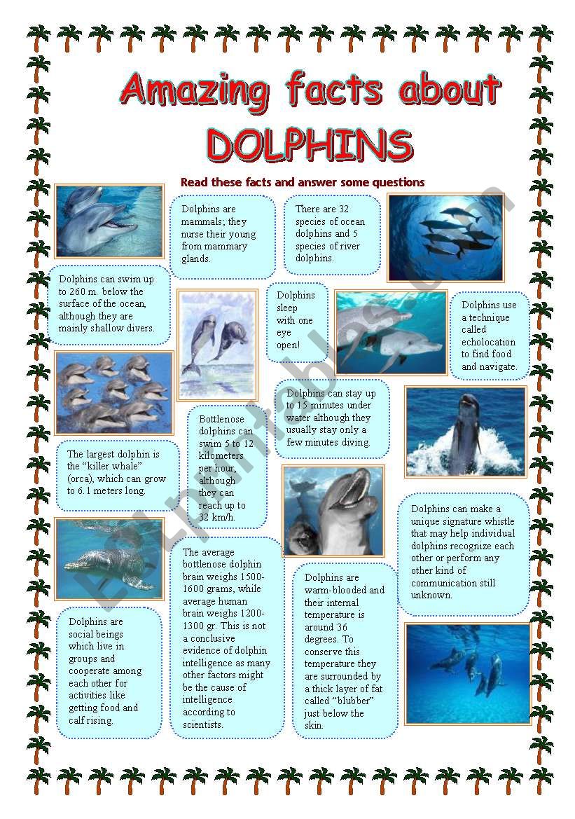 research paper topics about dolphins