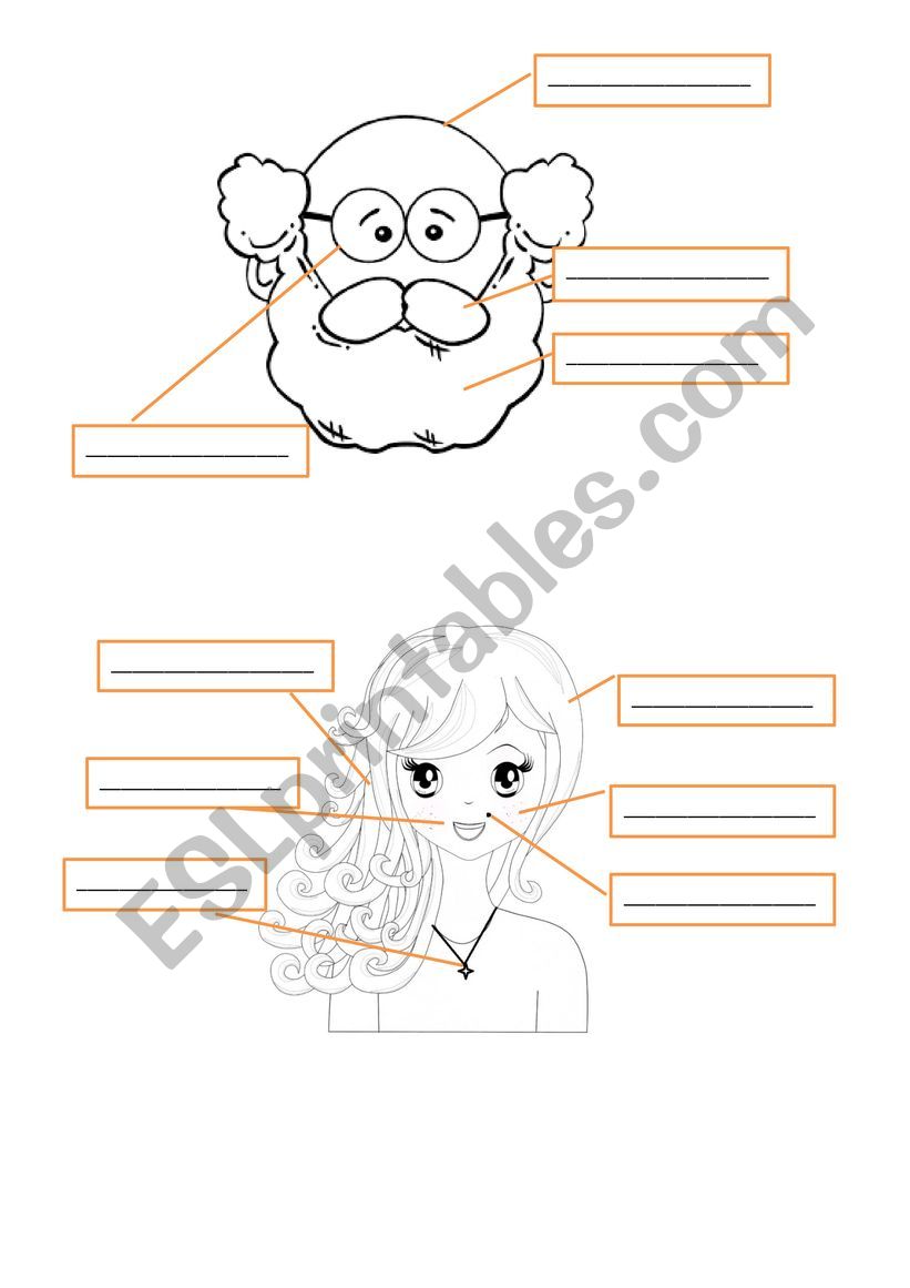 Parts of face worksheet